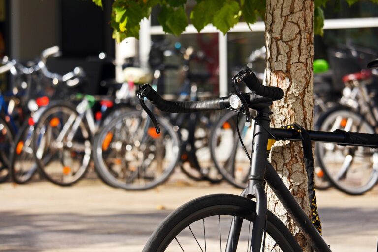 Fit bleiben mit dem Citybike