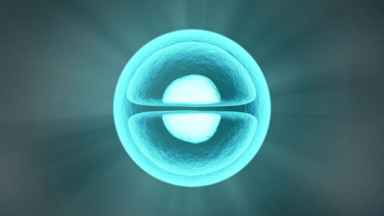 Die Mitochondrien: Kraftwerke der Zelle und Hüter des Lebens